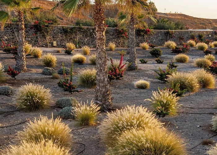 Hotel Desiterra & 5*